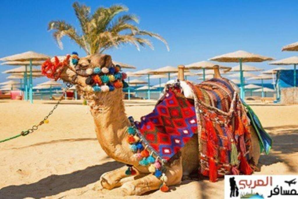 201Sheraton Plaza Hurgada Dış mekan fotoğraf